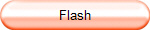 Flash
