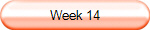 Week 14